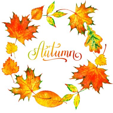 Sonbahar suluboya yapraklarının çelengi. Arka planda elle boyanmış sonbahar yaprakları. Yapraklar dökülüyor. Çizim, tasarım ögeleri.