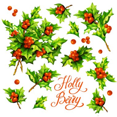 Dijital elle çizilmiş Noel seti kutsal böğürtlen, tasarım elementi, dekorasyon, dekupaj, çıkartma.