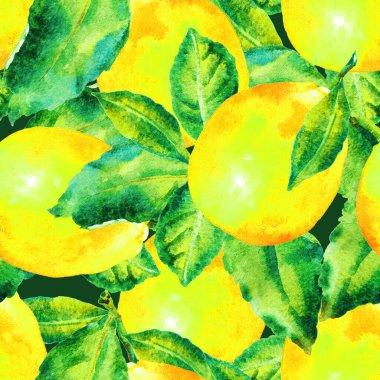 Yapraklı suluboya limon ağacı, pürüzsüz desenli. Elle boyanmış resim.