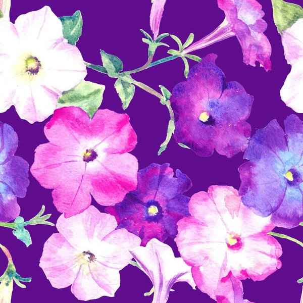 Petunya Pembesi Leylak Çiçekleri Suluboya Raster Deseni Tekstil Için Kusursuz — Stok fotoğraf