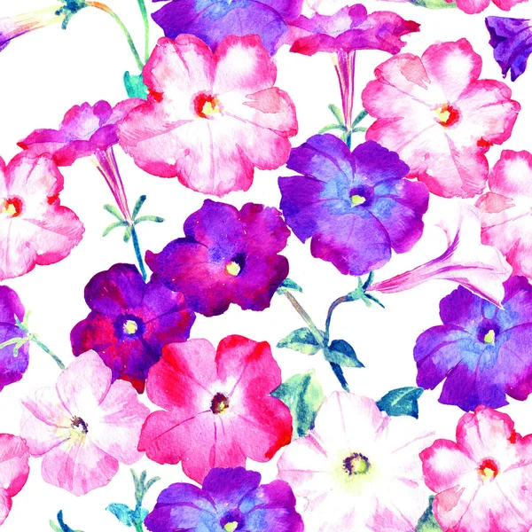 Πετούνια Ροζ Και Λιλά Λουλούδια Ράστερ Υδατογραφία Αδιάλειπτη Μοτίβο Για — Φωτογραφία Αρχείου