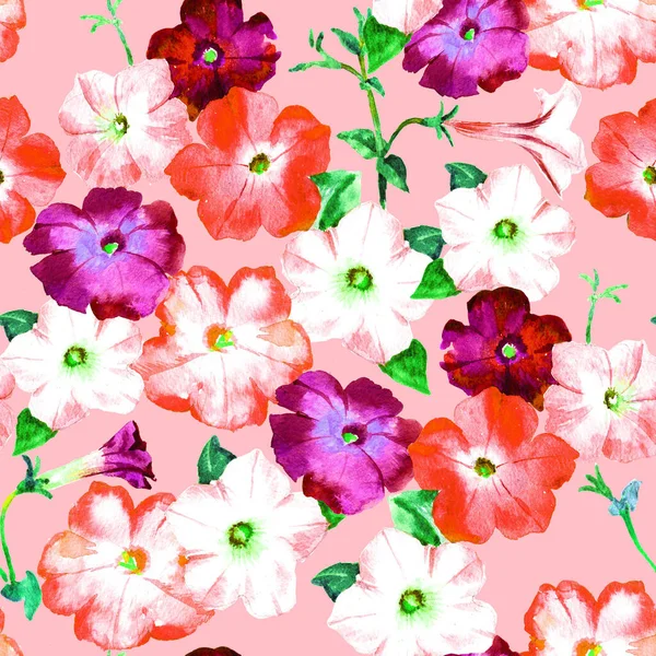 Petúnia Rózsaszín Lila Virágok Akvarell Raszter Zökkenőmentes Minta Textil Csomagolópapír — Stock Fotó
