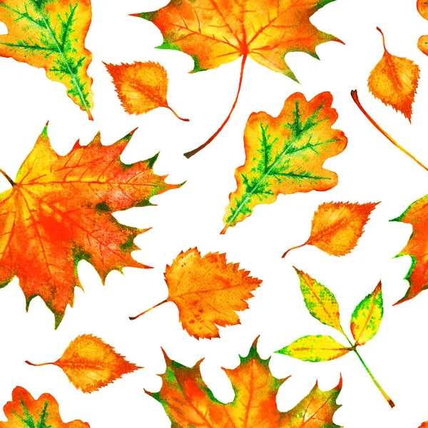 Бесшовный Узор Раскрашенными Вручную Акварельными Красными Желтыми Осенними Листьями Дуб — стоковое фото