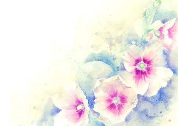 Mallow pink flowers; hand paint watercolor illustration,template for greeting card, banner.