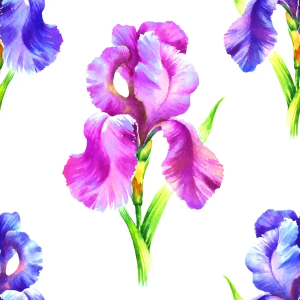 Aquarelle Peinture Main Fleur Iris Motif Sans Couture Pour Textile — Photo