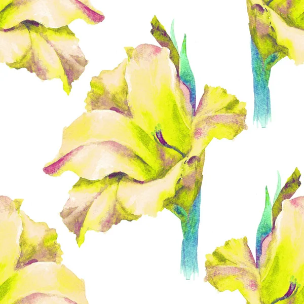 Watercolor Hand Painted Flowers Seamless Pattern — Stock Photo, Image