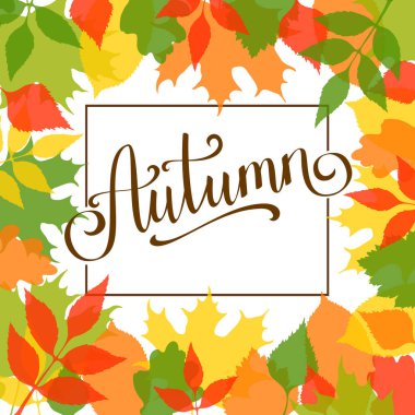 Renkli sarı, yeşil ve kırmızı yapraklı sonbahar arkaplanı, satılık pankart, kart, davetiye için vektör sezonu şablonu.