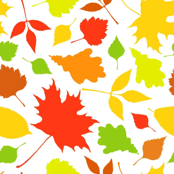 Herbstblätter Silhouettenvektor Nahtloses Muster Eiche Esche Ahorn Birke — Stockvektor