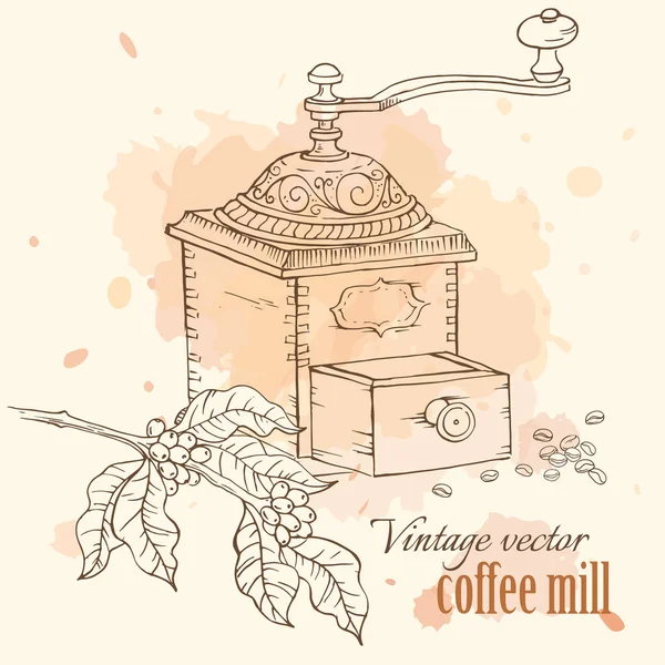 Molino Café Vintage Con Frijoles Brunch Árbol Café Ilustración Vectorial — Vector de stock