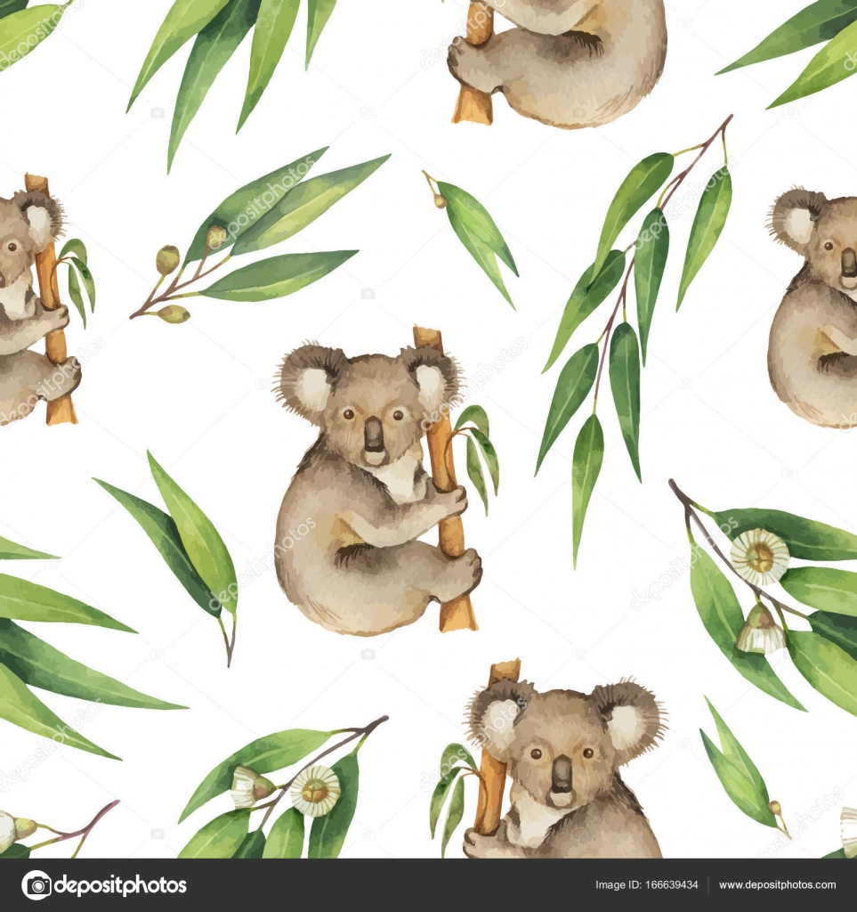 Watercolor Vector Seamless Pattern With Eucalyptus Leaves And Koala Isolated On White Background Stock Vector C Elenamedvedeva