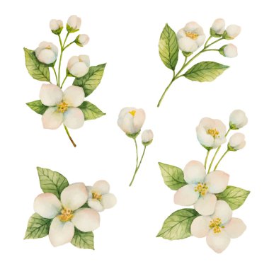 Free Free 89 Jasmine Flower Svg SVG PNG EPS DXF File