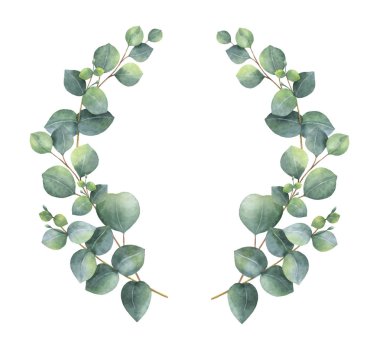 Watercolor vector wreath with silver dollar eucalyptus leaves and branches.