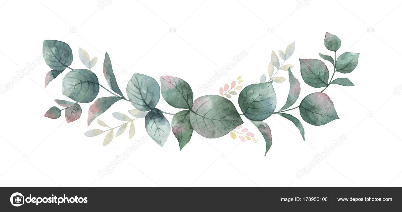 Download Watercolor vector wreath with green eucalyptus leaves and ...