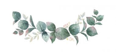 Download Eucalyptus Free Vector Eps Cdr Ai Svg Vector Illustration Graphic Art