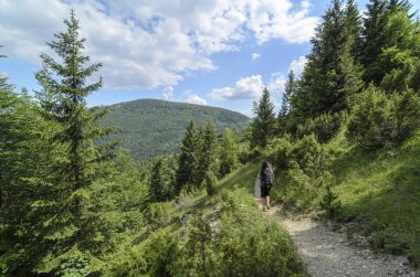 Vahşi doğada yürüyüş kadın turist