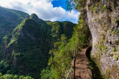 Madeira dağ yürüyüş yolu.