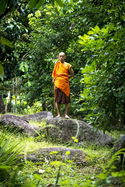 Yağmur ormanlarında Budist rahip