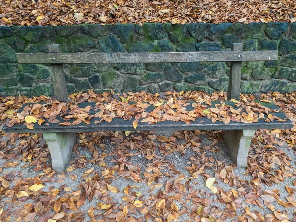 Autumn Leaves Bench Park — Stock Photo, Image