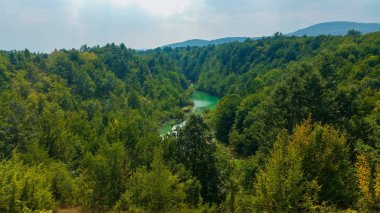 Nehir manzaralı dağ manzarası