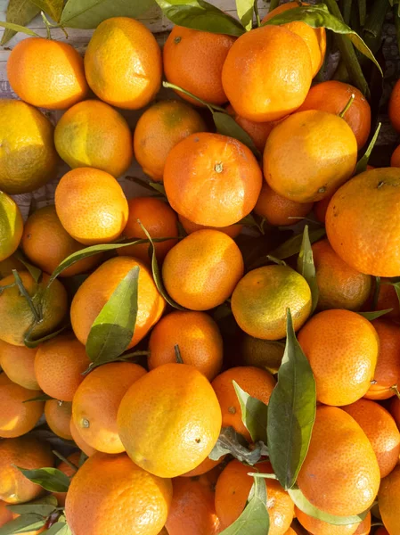 Fresh tangerines oranges fruit with leaves at the market