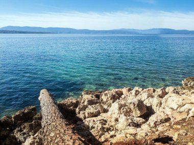 Ağaç gövdesi ve deniz taşları