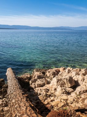 Ağaç gövdesi deniz ve kayalar
