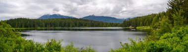 A view through the pine forest towards the snow capped mountains beyond the lake on a cloudy day.