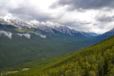 Tall dense pine forest covering the valley and rocky mountain side on a cloudy day.