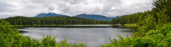 View Pine Forest Snow Capped Mountains Lake Cloudy Day — Stok fotoğraf