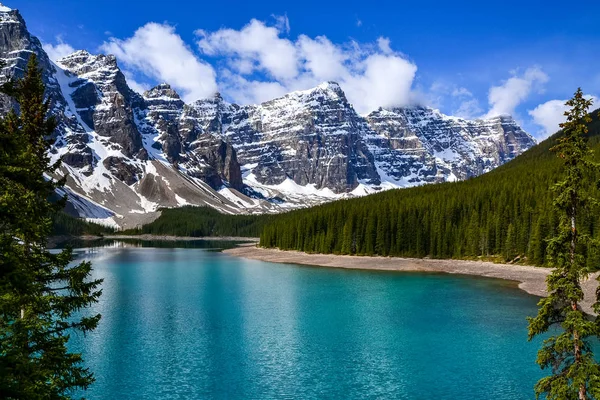 Pristine Moraine Lake Overlooks Icy Rocky Mountains Pine Forest Light — Stock Photo, Image