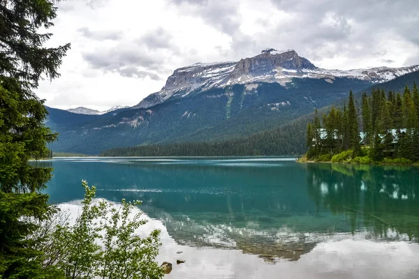 Pine Trees Foreground Pristine Clear Water Emerald Lake Brings Perfect — Stok fotoğraf