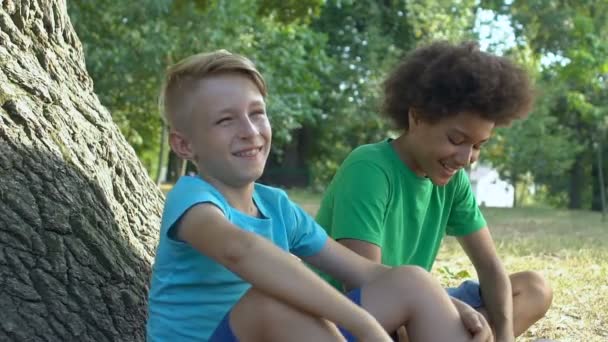 Glada skolpojkar sitter under träd i parken ha kul tillsammans, barndom — Stockvideo