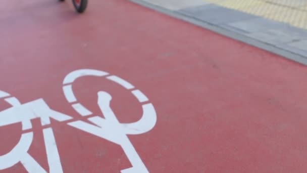 Excited schoolgirl in helmet riding bicycle on city cycle track, childhood hobby — Stock Video