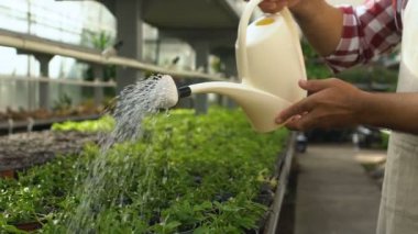 Çiçekleri sulama tenekesinden saksılarda sulayan çiftçi, sevgi dolu bir meslek