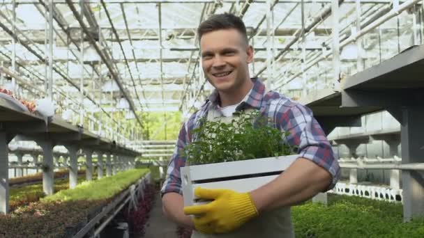 Sorrindo agricultor segurando caixa com plantas e olhando para cam, negócios bem sucedidos — Vídeo de Stock