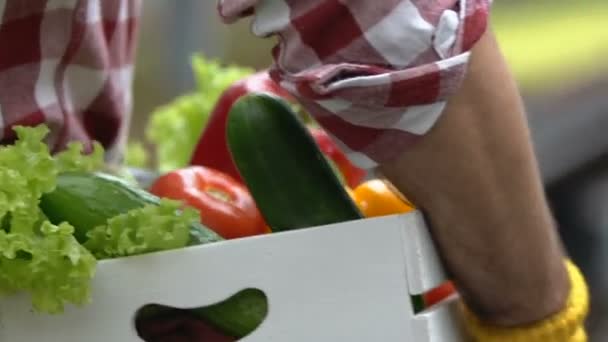 Mannelijke boerenbox met seizoensgroenten, groene kruidenier, oogsten — Stockvideo