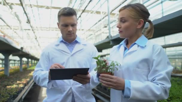 Équipe de scientifiques recherchant des notes de prise de plantes en tablette, science de la reproduction — Video