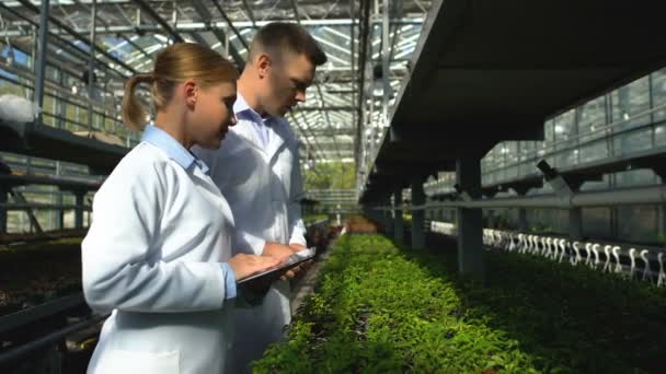 Занятые ученые проверяют рассады недавно выведенных растений в теплице, проводят исследования — стоковое видео
