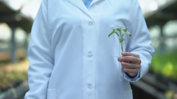 Forskare som håller plantor i kolv och facemask, användning av jordbrukskemikalier — Stockvideo