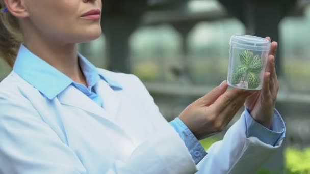 Ecologista en uniforme mirando muestra de planta en tubo de ensayo, investigación de laboratorio — Vídeo de stock