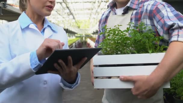 Vrouwelijke agronomie specialist werktablet praten met hothouse werknemer met planten — Stockvideo