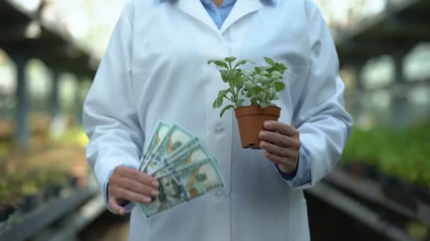 Cientista que detém planta cultivada de sementes e dólares, investimento em pesquisa agrícola — Vídeo de Stock