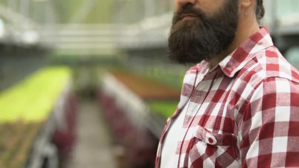 Granjero barbudo sonriente apuntando de la mano a las plantas de invernadero, negocio agrícola — Vídeos de Stock
