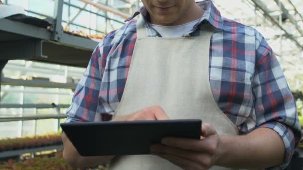 Tablet uygulaması kullanan sera erkek çalışanı, yüksek teknoloji tarım denetimi — Stok video