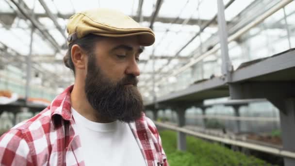 Agricultor inspirado oliendo pimienta fresca, orgulloso de la cosecha de verduras, agricultura — Vídeos de Stock