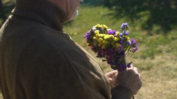 Старик нюхает дикие цветы в руках, наслаждается природой на открытом воздухе, подарок на свидание — стоковое видео