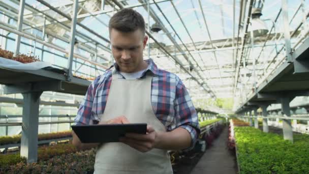 Agricultor bem sucedido verificando aplicativo de controle de clima de estufa em tablet, tecnologia — Vídeo de Stock