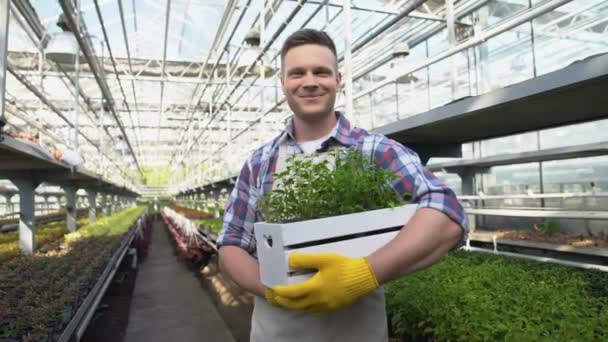 温室で笑顔を浮かべている陽気な若い農家、農業ビジネスへの投資 — ストック動画