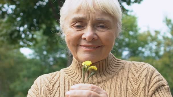 Snäll gammal kvinna med vild blomma hand leende kamera, miljöskydd — Stockvideo
