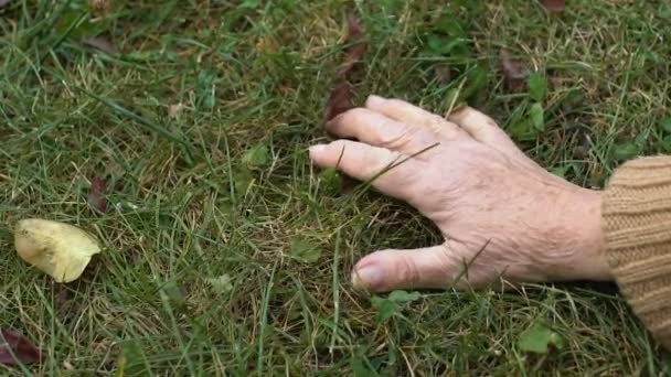 Пожилая женщина гладит зеленую траву, охраняет природу, отдыхает в сельской местности — стоковое видео